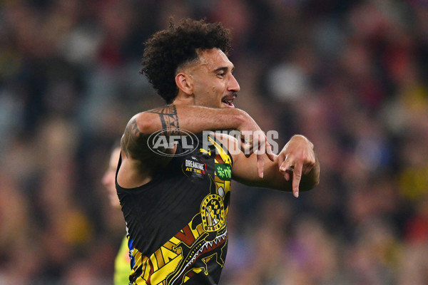 AFL 2024 Round 11 - Richmond v Essendon - A-49681109