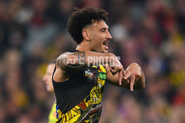 AFL 2024 Round 11 - Richmond v Essendon - A-49681110