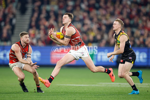 AFL 2024 Round 11 - Richmond v Essendon - A-49682355