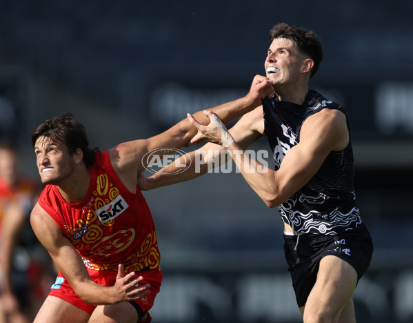 VFL 2024 Round 09 - Carlton v Gold Coast - A-49683825