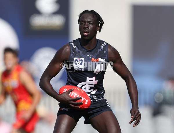 VFL 2024 Round 09 - Carlton v Gold Coast - A-49683827