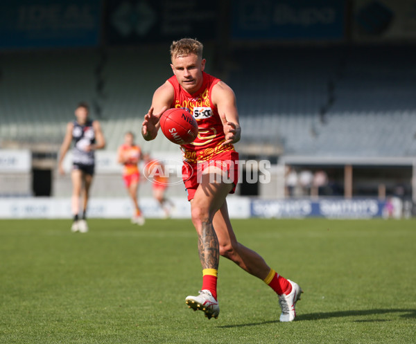 VFL 2024 Round 09 - Carlton v Gold Coast - A-49683829