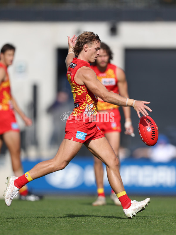 VFL 2024 Round 09 - Carlton v Gold Coast - A-49683832