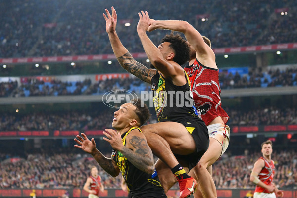 AFL 2024 Round 11 - Richmond v Essendon - A-49683838