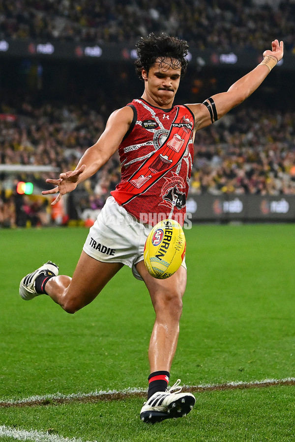 AFL 2024 Round 11 - Richmond v Essendon - A-49686576