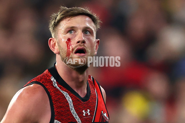 AFL 2024 Round 11 - Richmond v Essendon - A-49686622