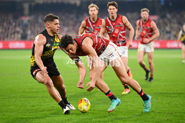 AFL 2024 Round 11 - Richmond v Essendon - A-49689530