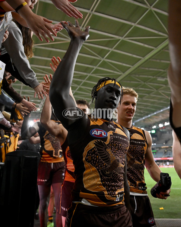 AFL 2024 Round 11 - Hawthorn v Brisbane - A-49704686