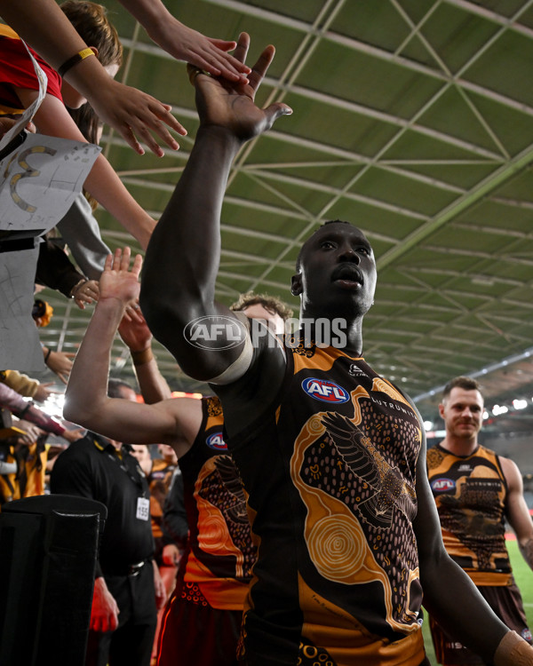 AFL 2024 Round 11 - Hawthorn v Brisbane - A-49704694