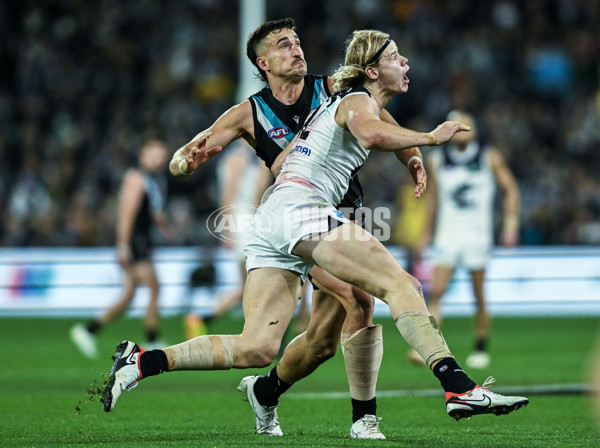 AFL 2024 Round 12 - Port Adelaide v Carlton - A-49846088