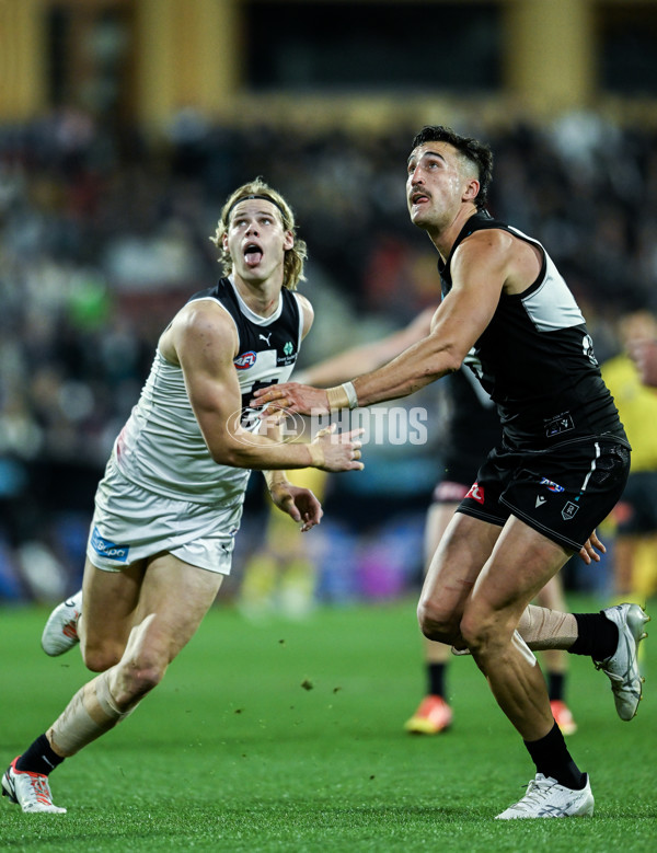 AFL 2024 Round 12 - Port Adelaide v Carlton - A-49846089