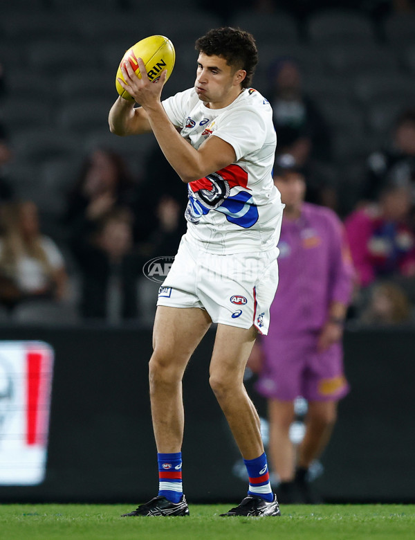 AFL 2024 Round 12 - Collingwood v Western Bulldogs - A-49851203