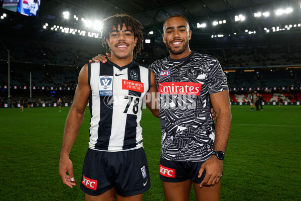 AFL 2024 Round 12 - Collingwood v Western Bulldogs - A-49851206