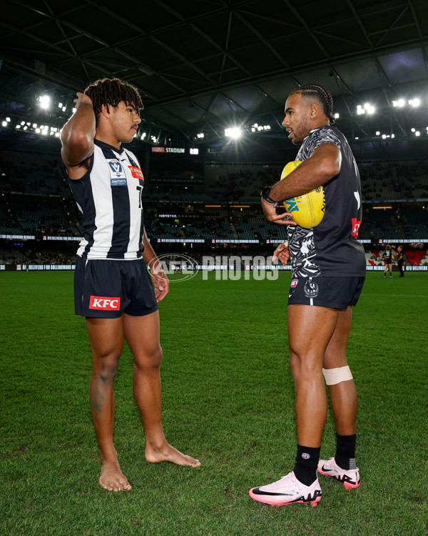 AFL 2024 Round 12 - Collingwood v Western Bulldogs - A-49851207