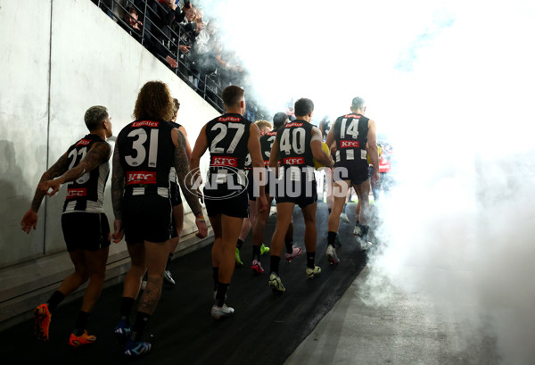 AFL 2024 Round 12 - Collingwood v Western Bulldogs - A-49851217