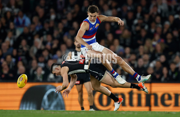 AFL 2024 Round 12 - Collingwood v Western Bulldogs - A-49851222