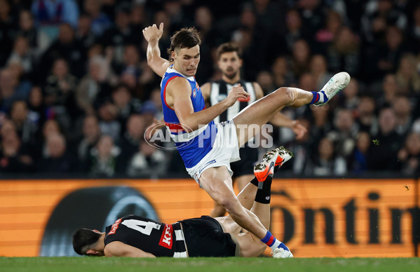 AFL 2024 Round 12 - Collingwood v Western Bulldogs - A-49851224