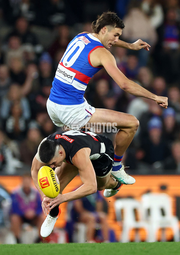 AFL 2024 Round 12 - Collingwood v Western Bulldogs - A-49851230