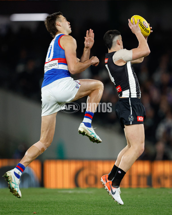 AFL 2024 Round 12 - Collingwood v Western Bulldogs - A-49851231