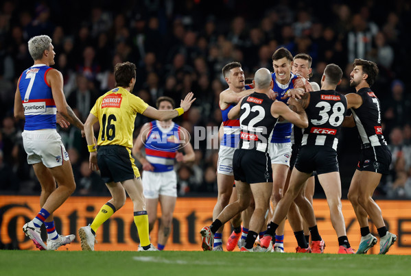 AFL 2024 Round 12 - Collingwood v Western Bulldogs - A-49851252