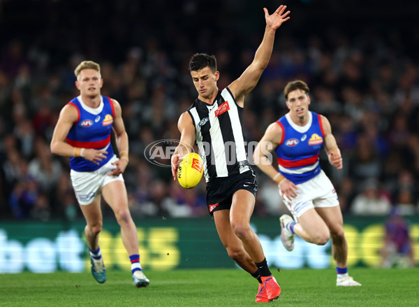 AFL 2024 Round 12 - Collingwood v Western Bulldogs - A-49851256