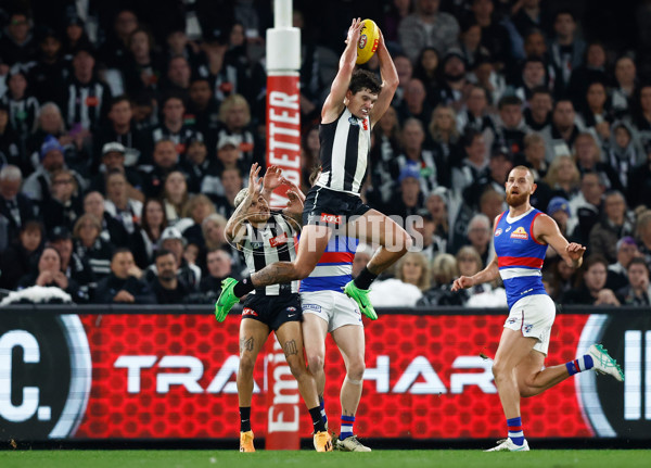 AFL 2024 Round 12 - Collingwood v Western Bulldogs - A-49851267
