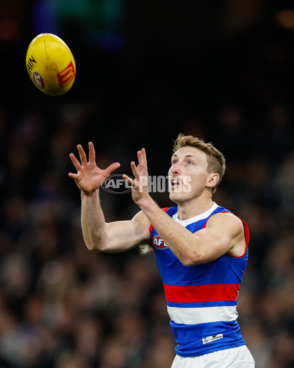 AFL 2024 Round 12 - Collingwood v Western Bulldogs - A-49851271