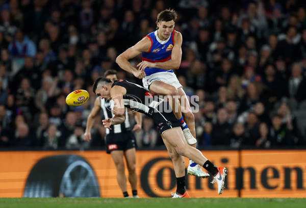 AFL 2024 Round 12 - Collingwood v Western Bulldogs - A-49856852