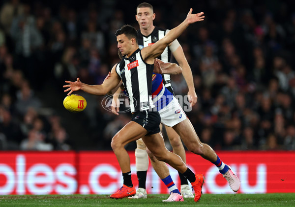 AFL 2024 Round 12 - Collingwood v Western Bulldogs - A-49856853