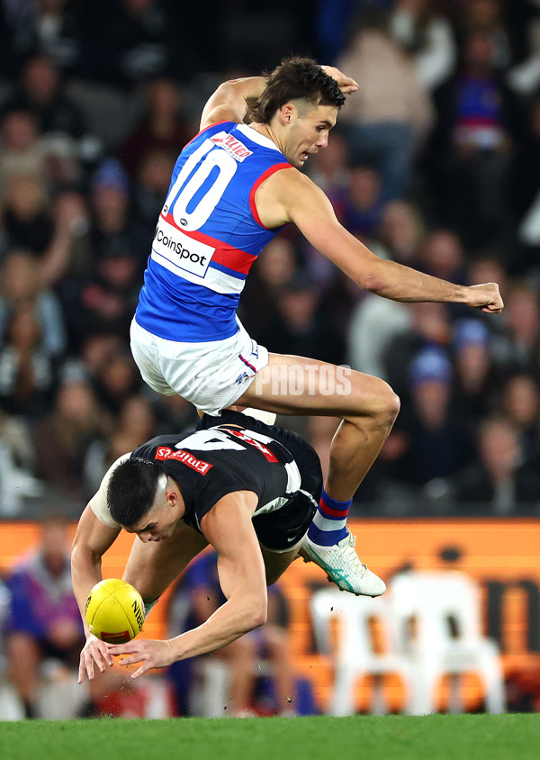AFL 2024 Round 12 - Collingwood v Western Bulldogs - A-49856865