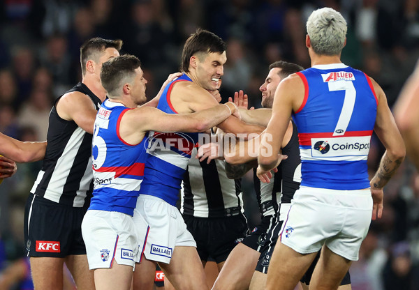 AFL 2024 Round 12 - Collingwood v Western Bulldogs - A-49856899