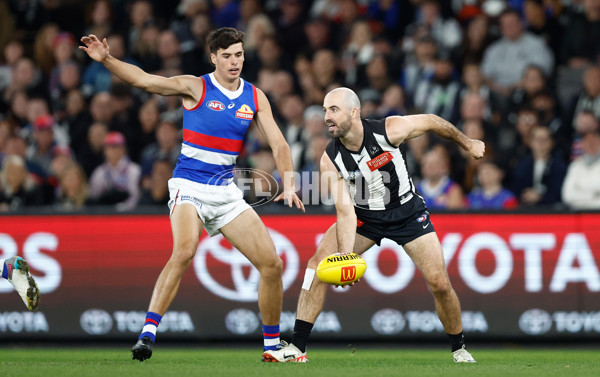 AFL 2024 Round 12 - Collingwood v Western Bulldogs - A-49856909