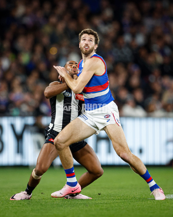 AFL 2024 Round 12 - Collingwood v Western Bulldogs - A-49856920
