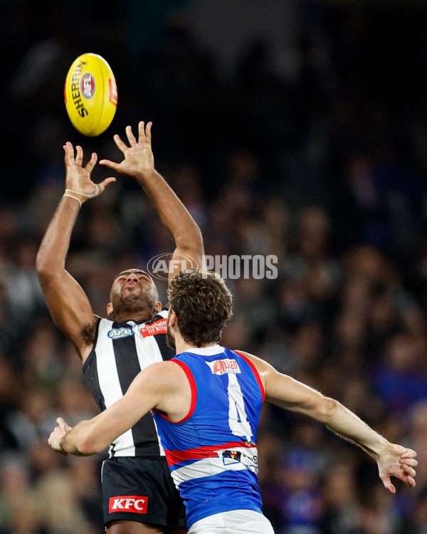 AFL 2024 Round 12 - Collingwood v Western Bulldogs - A-49856922