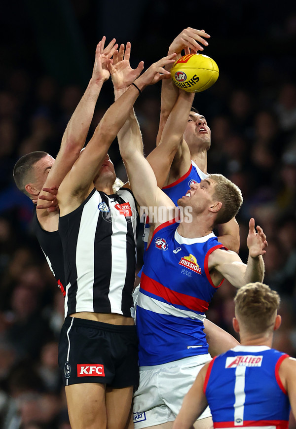 AFL 2024 Round 12 - Collingwood v Western Bulldogs - A-49856923