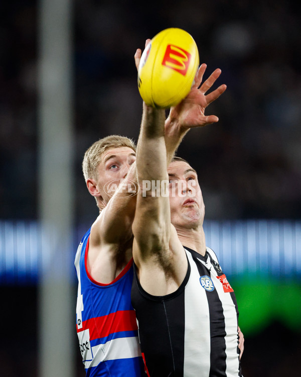 AFL 2024 Round 12 - Collingwood v Western Bulldogs - A-49858765