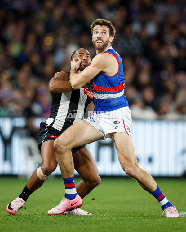 AFL 2024 Round 12 - Collingwood v Western Bulldogs - A-49858766