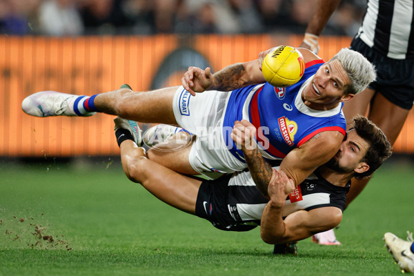 AFL 2024 Round 12 - Collingwood v Western Bulldogs - A-49858767