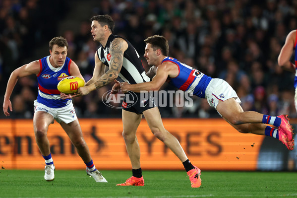 AFL 2024 Round 12 - Collingwood v Western Bulldogs - A-49858769