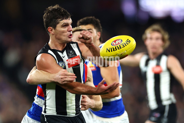 AFL 2024 Round 12 - Collingwood v Western Bulldogs - A-49858779