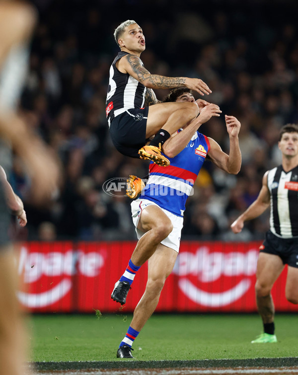AFL 2024 Round 12 - Collingwood v Western Bulldogs - A-49858784