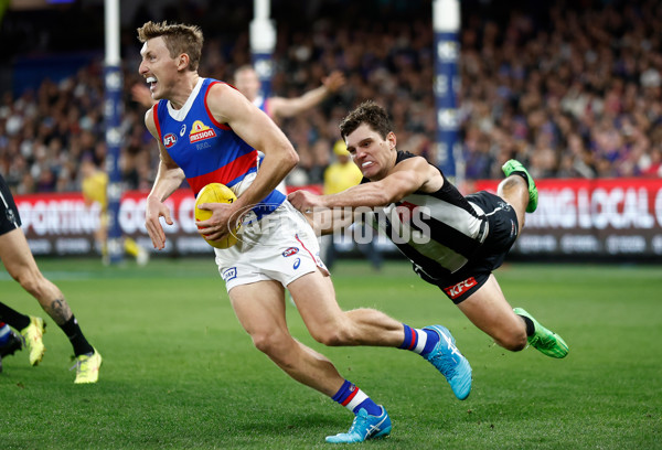 AFL 2024 Round 12 - Collingwood v Western Bulldogs - A-49858804