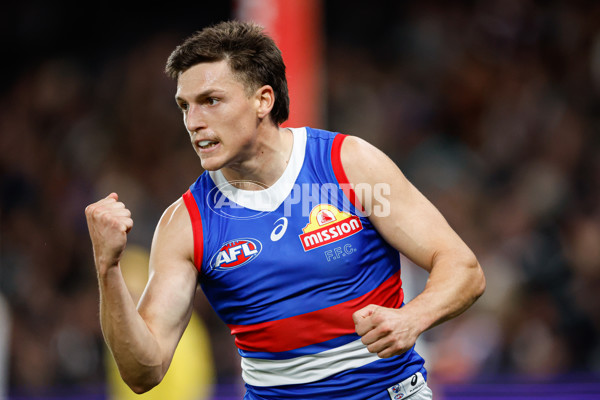 AFL 2024 Round 12 - Collingwood v Western Bulldogs - A-49858817
