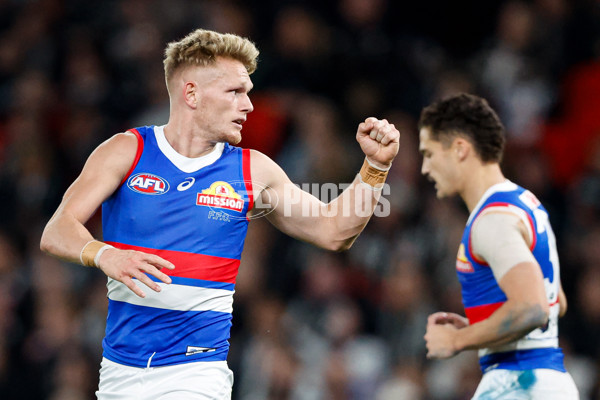 AFL 2024 Round 12 - Collingwood v Western Bulldogs - A-49858818