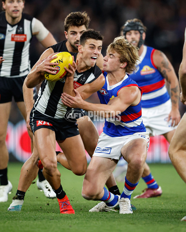 AFL 2024 Round 12 - Collingwood v Western Bulldogs - A-49858821