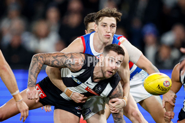 AFL 2024 Round 12 - Collingwood v Western Bulldogs - A-49858823