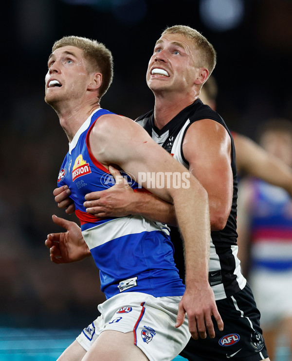 AFL 2024 Round 12 - Collingwood v Western Bulldogs - A-49858837