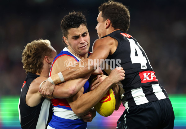 AFL 2024 Round 12 - Collingwood v Western Bulldogs - A-49859165