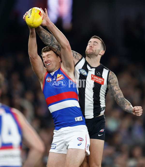 AFL 2024 Round 12 - Collingwood v Western Bulldogs - A-49859167