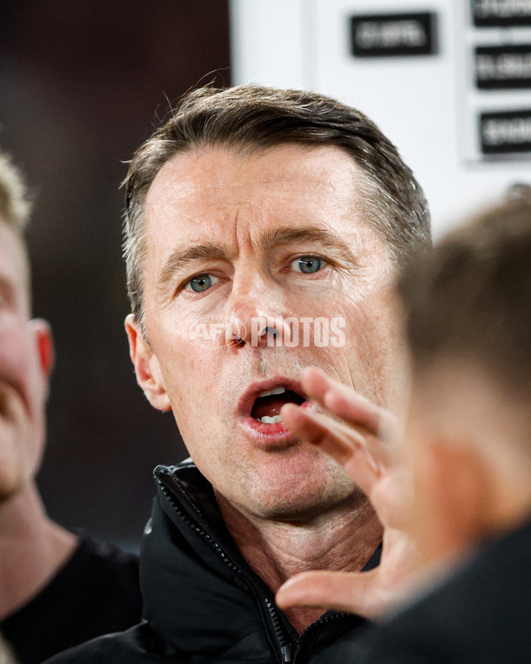 AFL 2024 Round 12 - Collingwood v Western Bulldogs - A-49859173